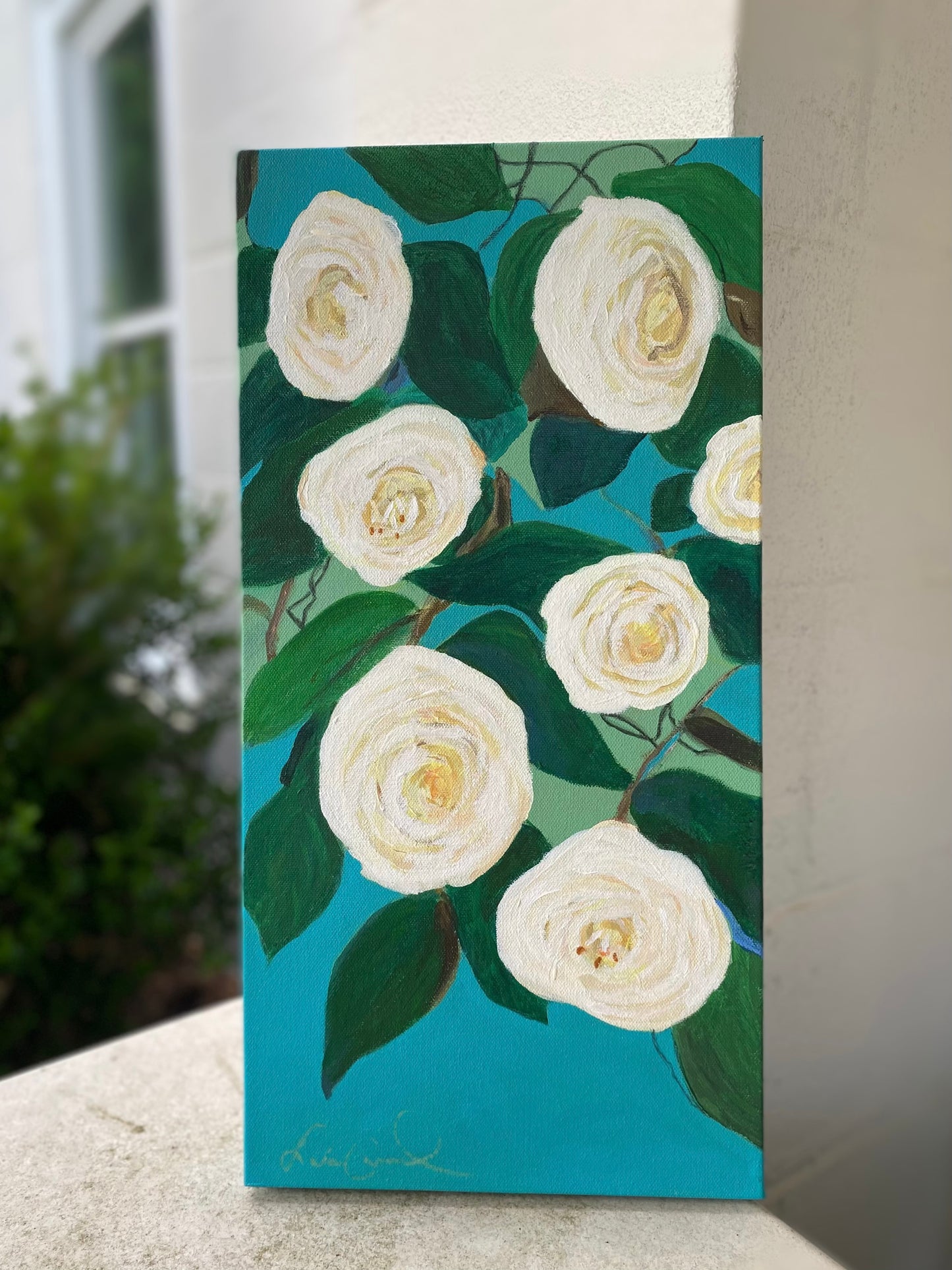 Winter White Camellias