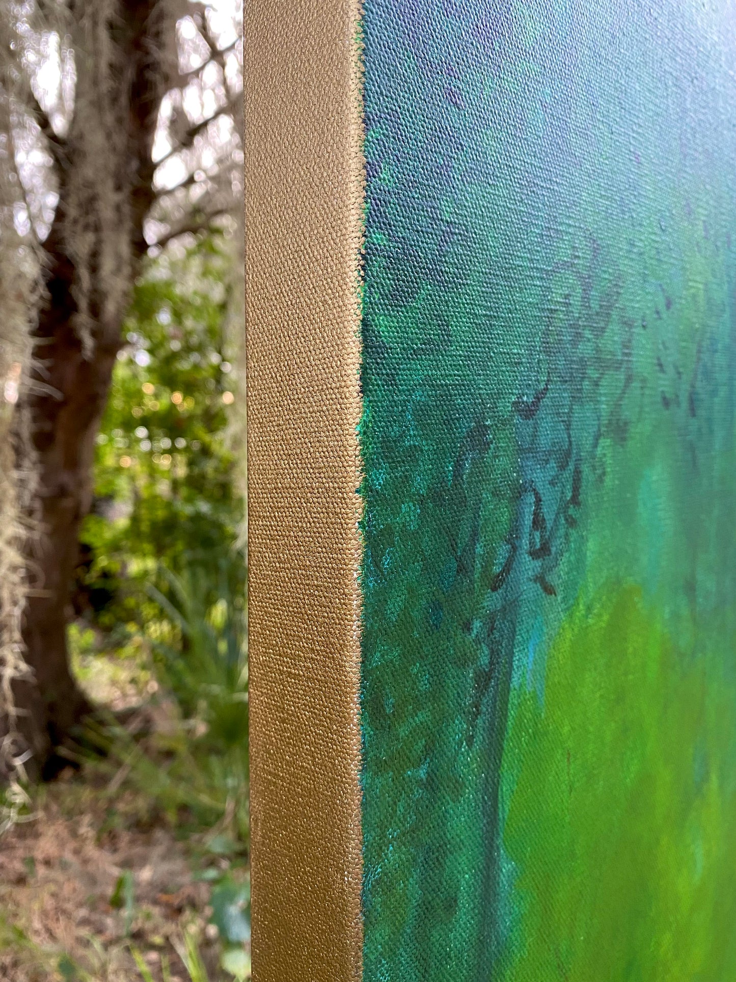 Meditative Forest