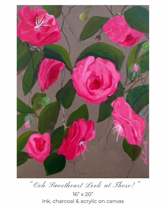 First Camellia Collection