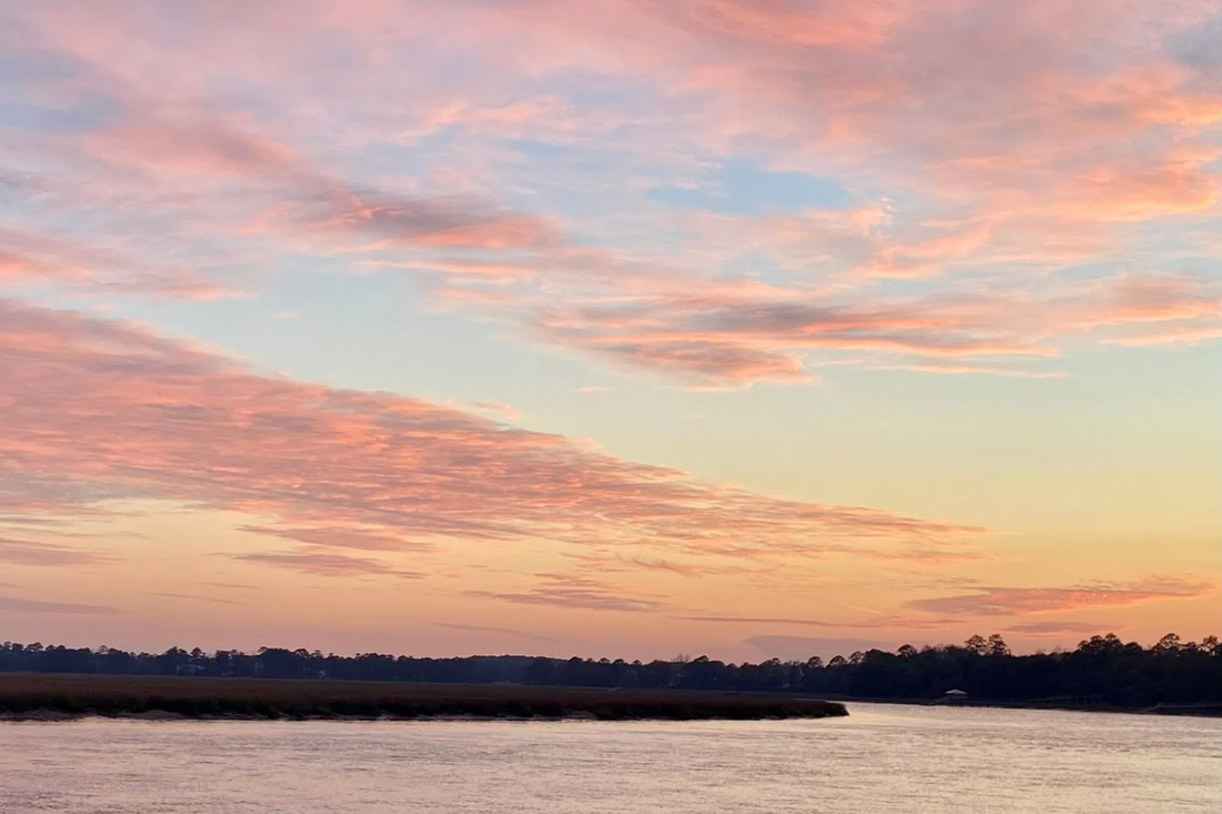 Why I Paint the Lowcountry