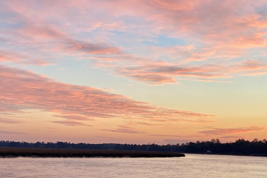 Why I Paint the Lowcountry